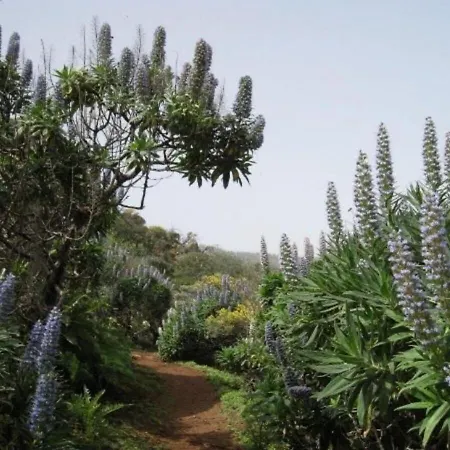Casa Gloria, Encanto Canario Entre Montana Y Mar *