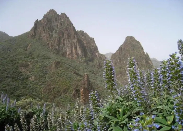 펜션 Casa Gloria, Encanto Canario Entre Montana Y Mar 아루카스